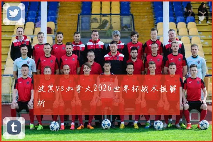 波黑vs加拿大2026世界杯战术板解析