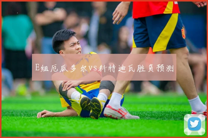 E组厄瓜多尔vs科特迪瓦胜负预测